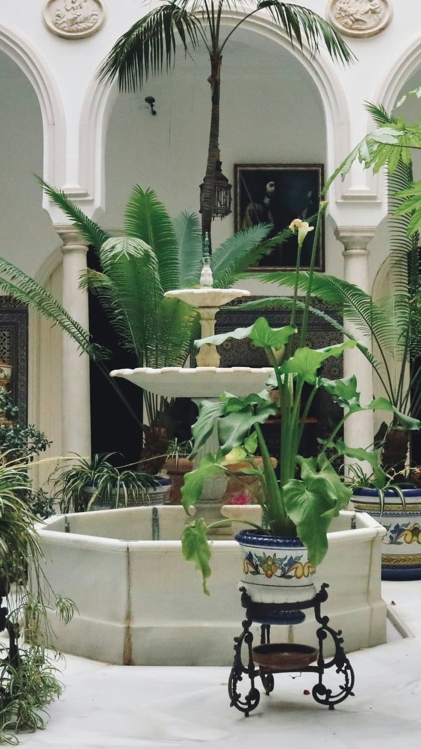 Fountain and plants at the back of the courtyard